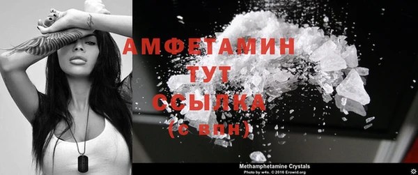 сатива Баксан