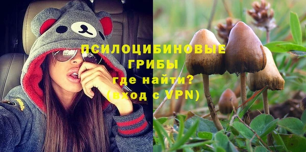 амф Ступино