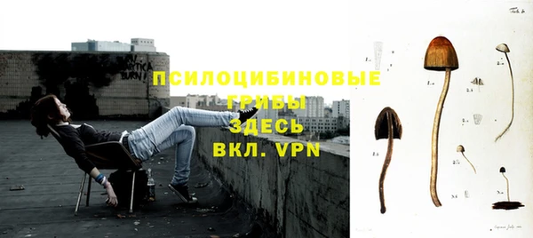 гашиш Богородицк