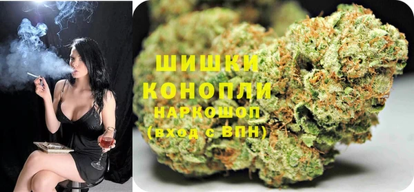 сатива Баксан