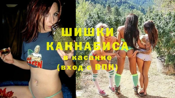 амф Ступино