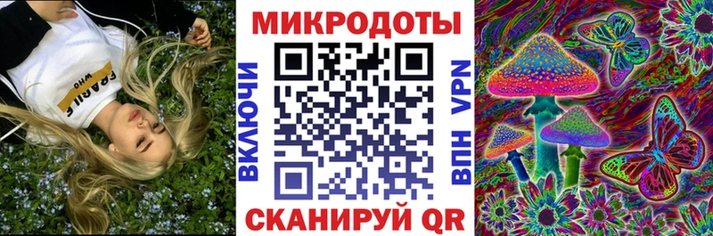 Псилоцибиновые грибы Psilocybe  где купить наркоту  Салаир 